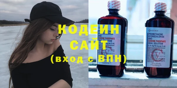 гашик Инта