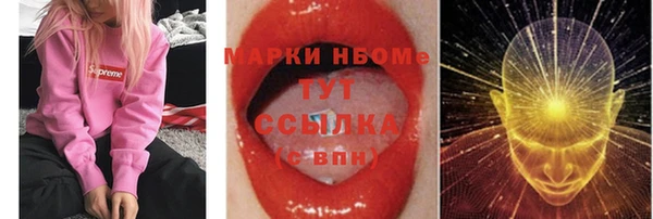 гашик Инта