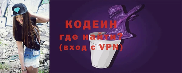 гашик Инта