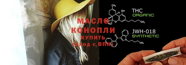 гашик Инта