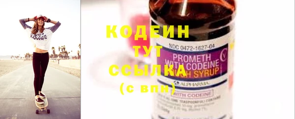 гашик Инта