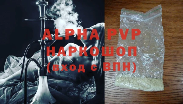 гашик Инта