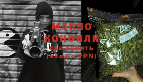 гашик Инта