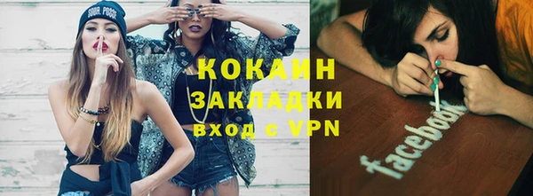 гашик Инта