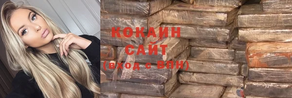 гашик Инта