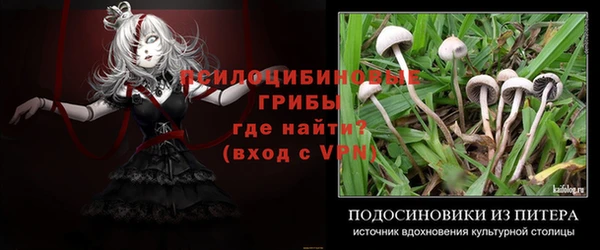 гашик Инта