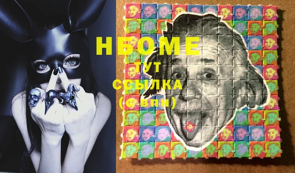 гашик Инта